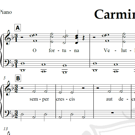 Carmina Burana - Carl Orff - Arranjo Coral