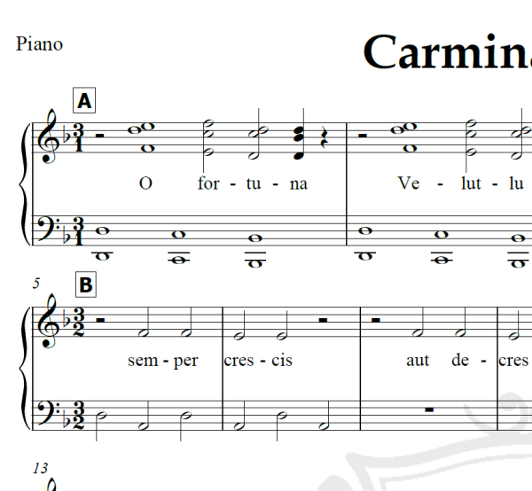 Carmina Burana - Carl Orff - Arranjo Coral