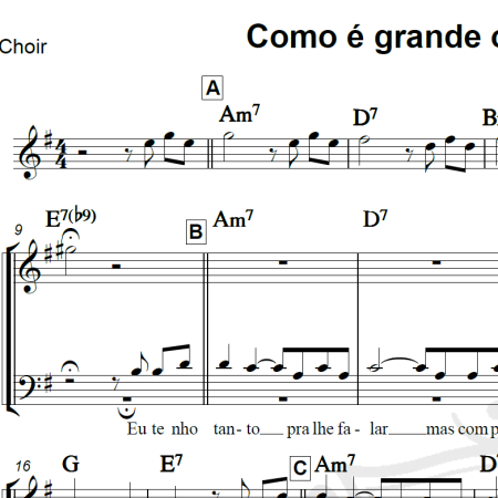 Como é grande o meu amor por você - Roberto Carlos - Arranjo Coral