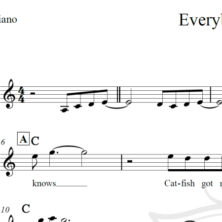 Everybody knows - St. Paul and The Broken Bones - Piano/Vocal