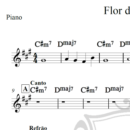 Flor do futuro - Cláudio Zolli - Cifra