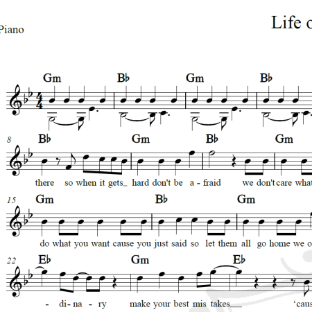 Life of the party - Shawn Mendes - Piano/Vocal