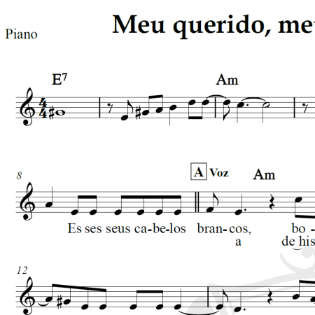 Meu querido, meu velho, meu amigo - Roberto Carlos - Piano/Vocal