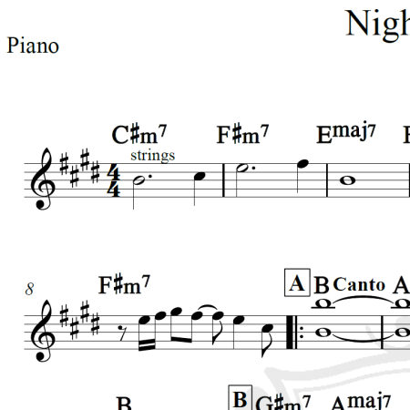 Night Fever - Bee Gees - Cifra