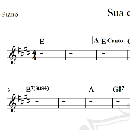 Sua estupidez - Roberto Carlos - Cifra