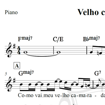 Velho camarada - Tim Maia - Piano/Vocal