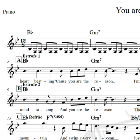 You are the reason - Calum Scott - Piano/Vocal